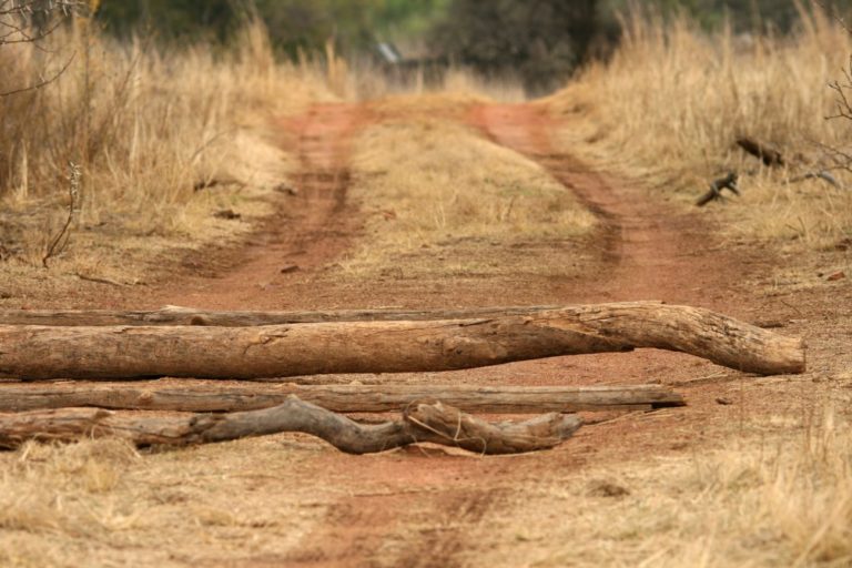 Obstacle Race