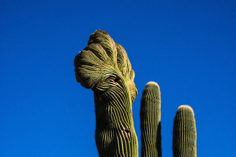 Paradise Valley, Arizona