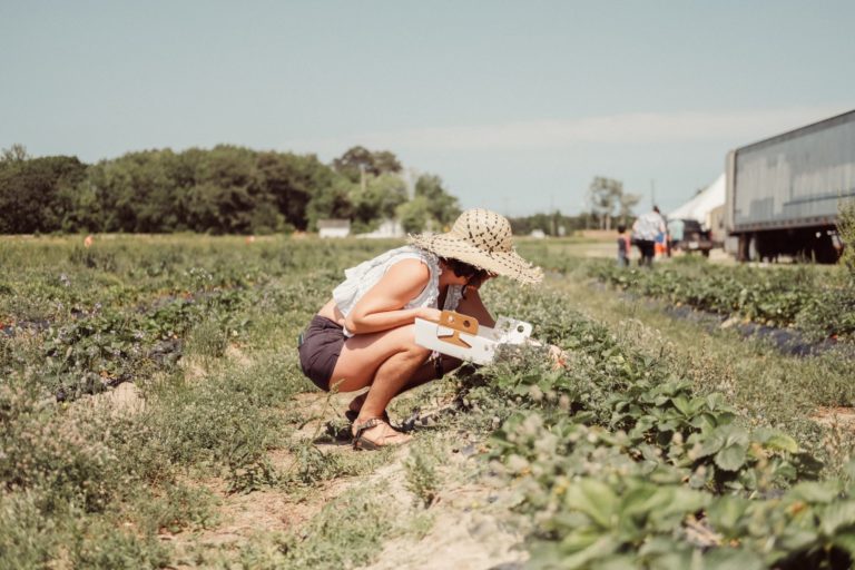 But Who Will Pick The Strawberries?