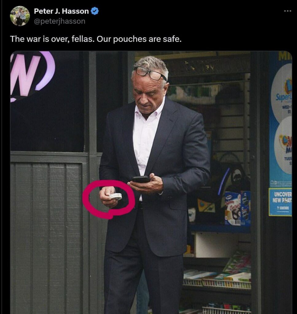 RFK Jr pouch meme